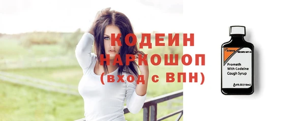 шишки Белоозёрский