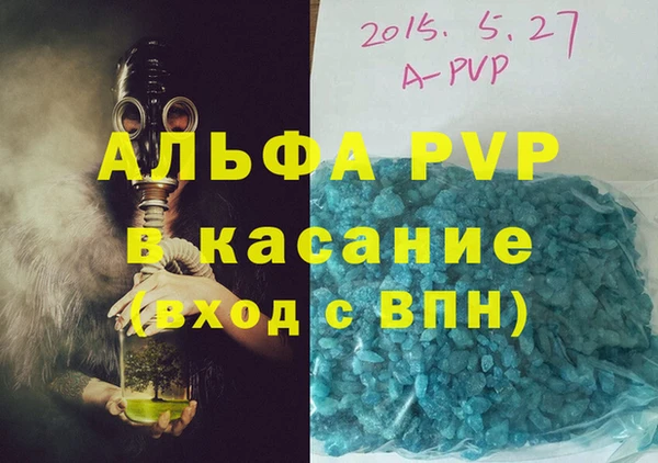 шишки Белоозёрский