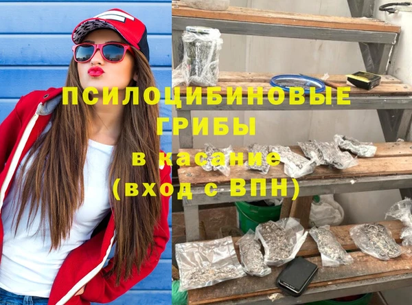 шишки Белоозёрский