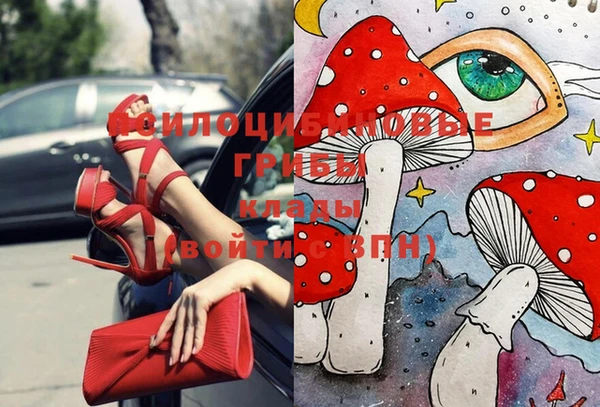 бошки Богданович