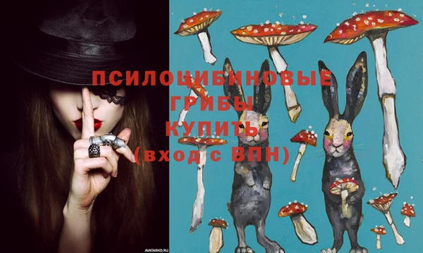 дмт Беломорск