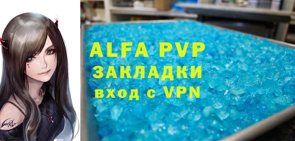 шишки Белоозёрский