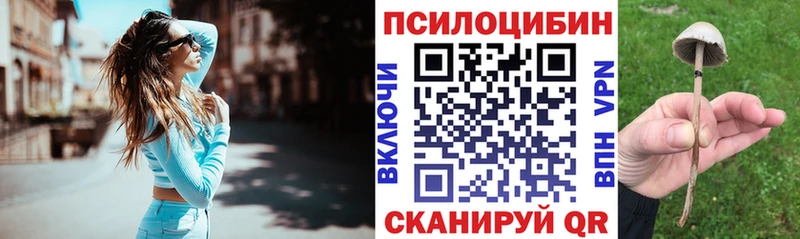 как найти закладки  Вуктыл  Галлюциногенные грибы GOLDEN TEACHER 